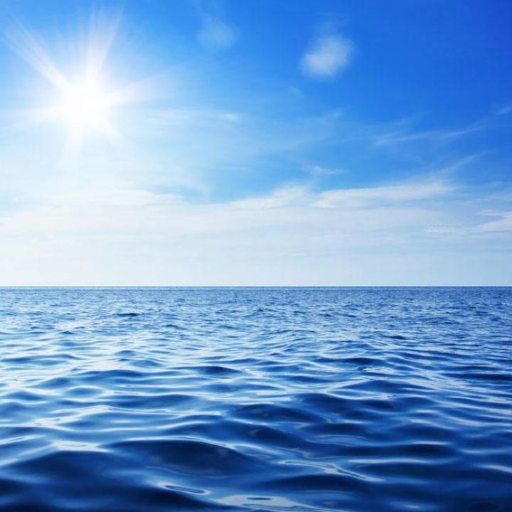 逍遥的海