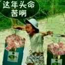 年年发发