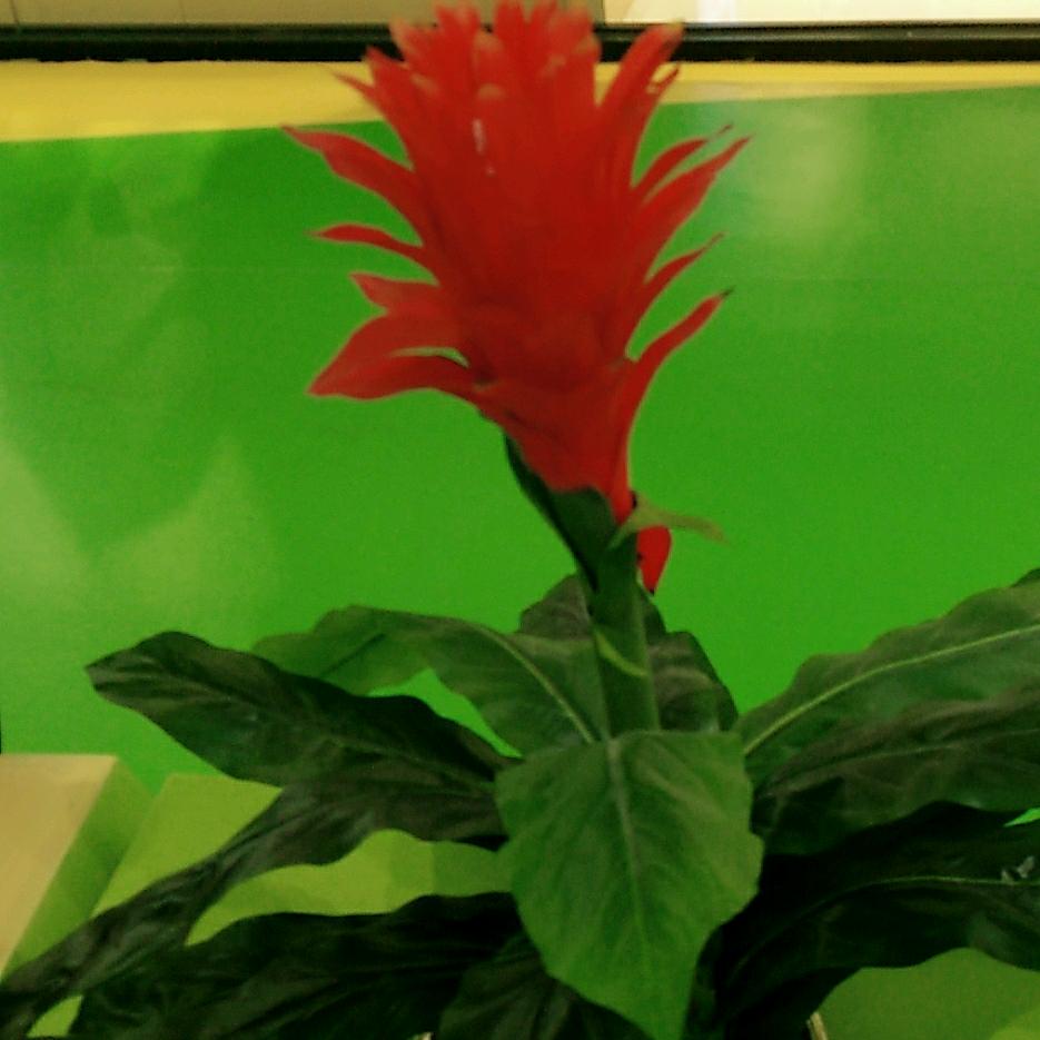 往后余生！好好爱自己