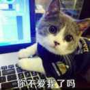 重庆猪肉批发配送