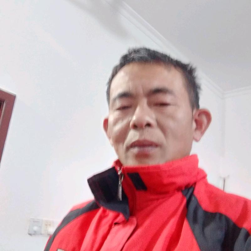 李平