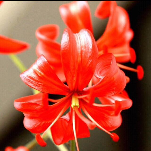 手机用户61575136312