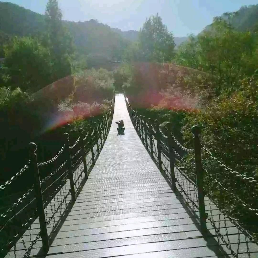 芋头