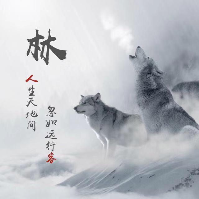 百威陶瓷九牧林