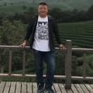 世纪白_茶园