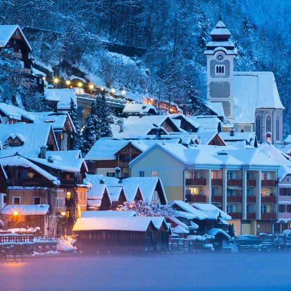 国服第二俊可可