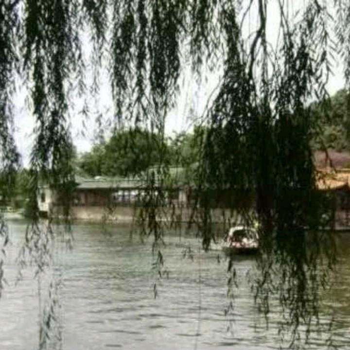忠诚
