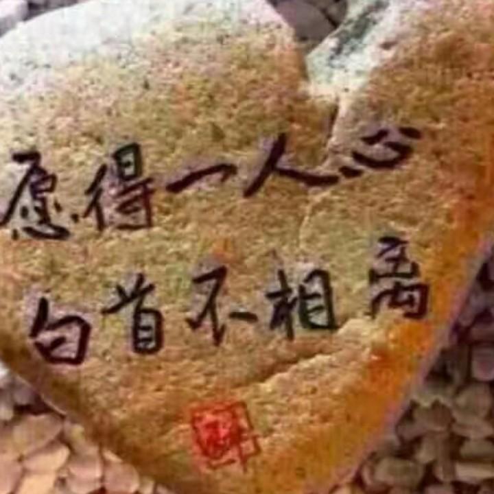 天天开心