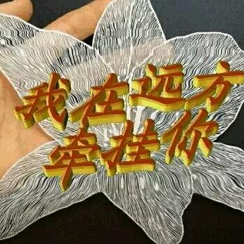 自由飞翔