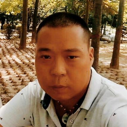 我心飞翔