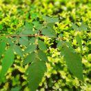 为娱而渔而喂鱼