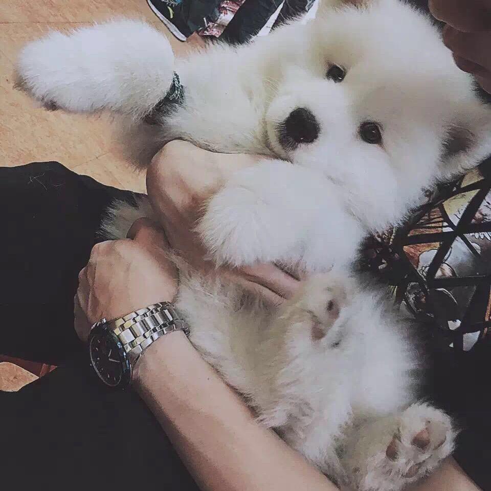 一个黄瘦子#
