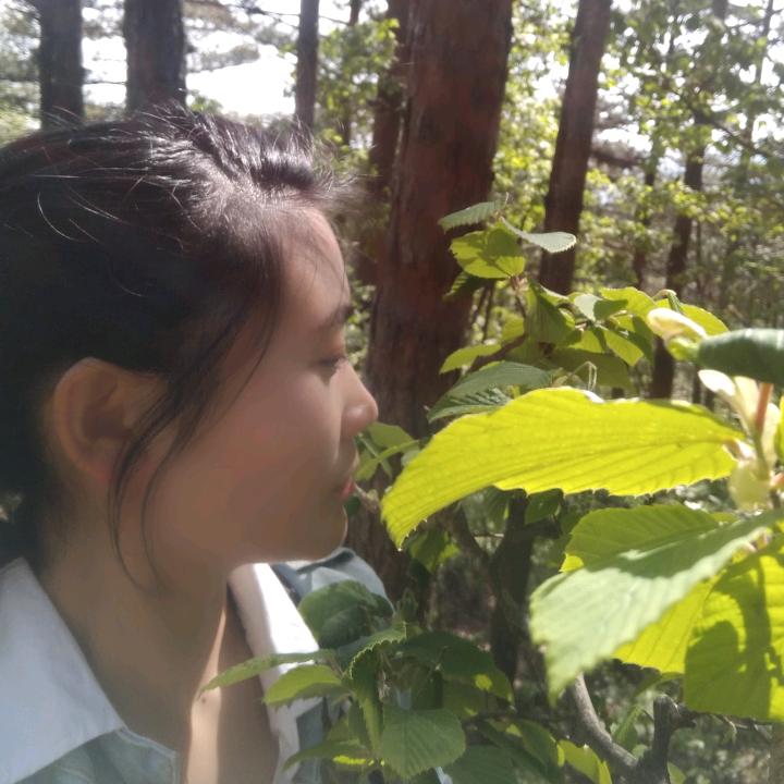 霍山胜悦门窗梅子💥