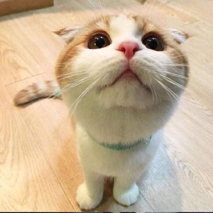 泡泡