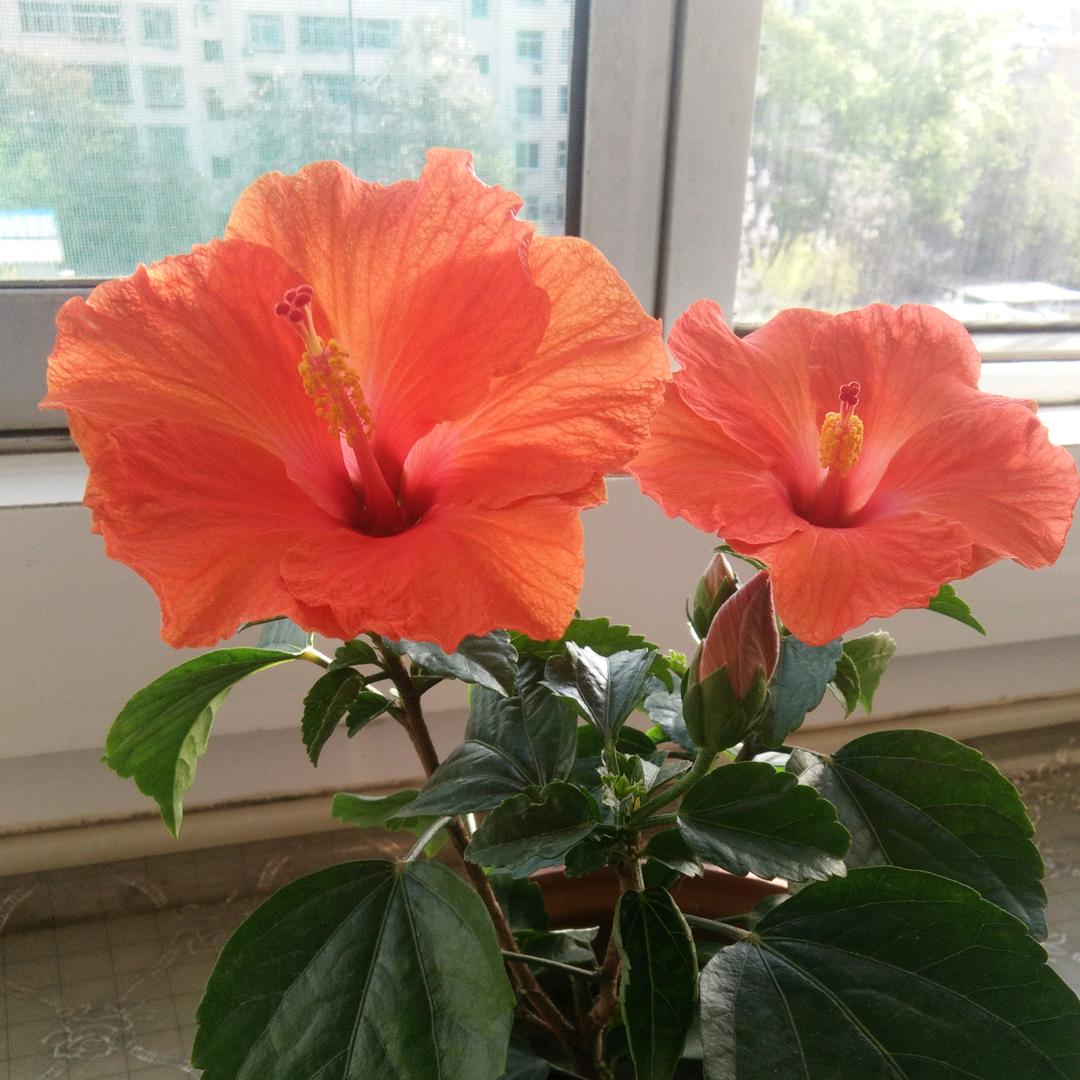 一生幸福