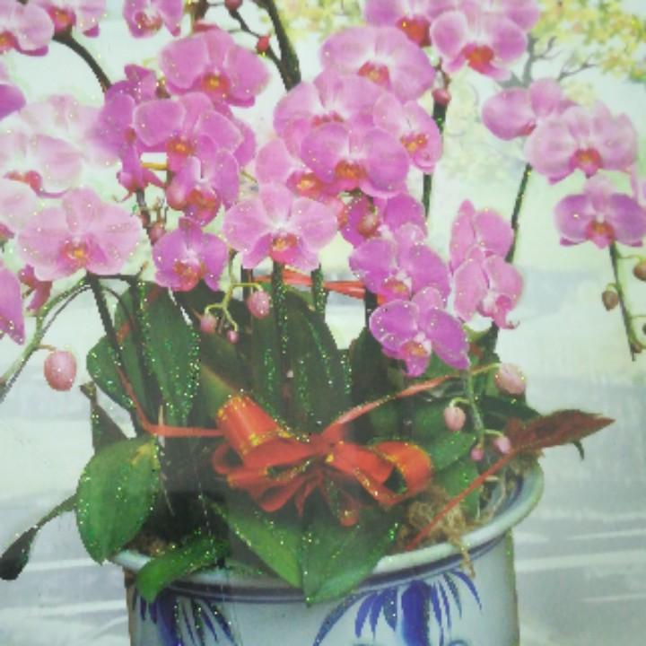 别低头，皇冠会掉