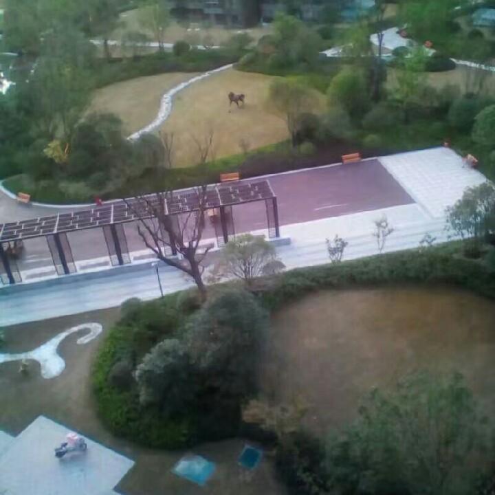 诚信微挖