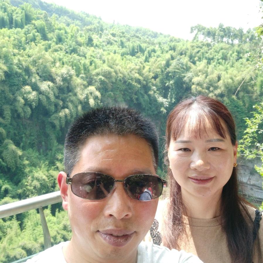 爱情鸟