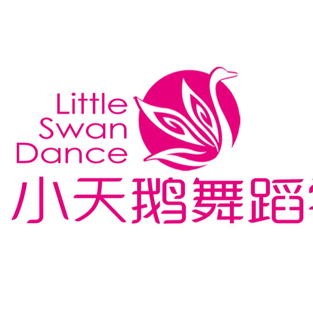 济源小天鹅舞蹈