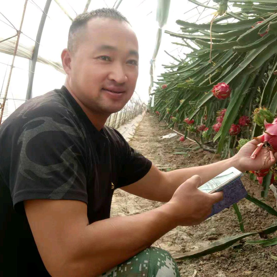 金乡县豪乐火龙果采摘园