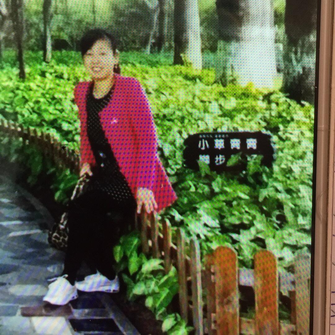 欣欣玩具