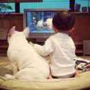 吃了香菜会中毒