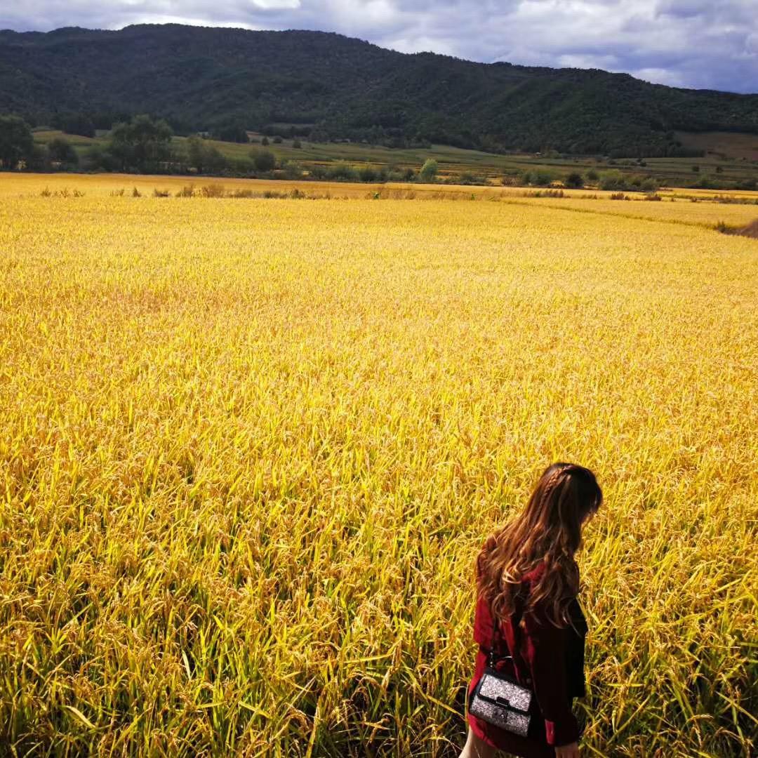 徐小琪ʚ🧸ྀིɞ