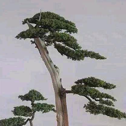 景悟先生
