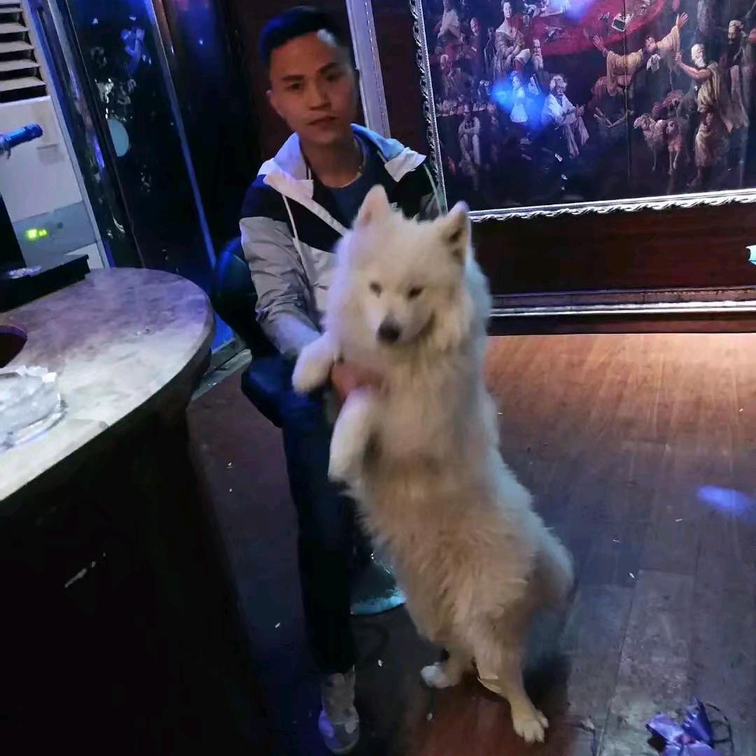 A、金沙县倍电共享充电宝