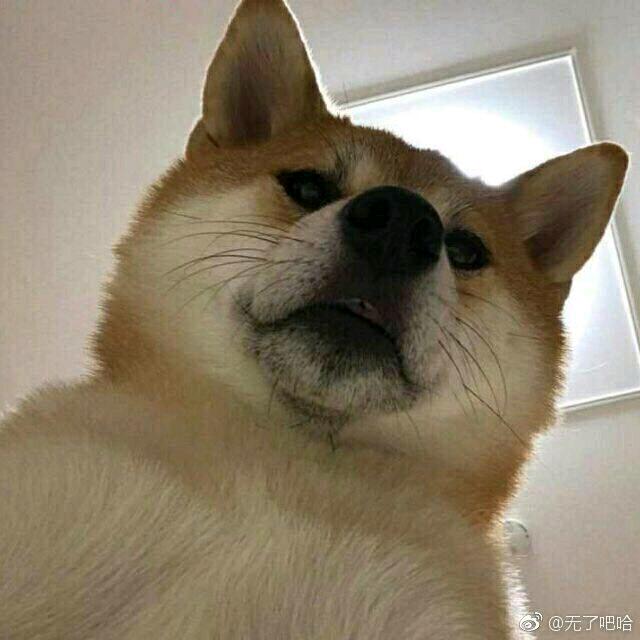 巴哈哈