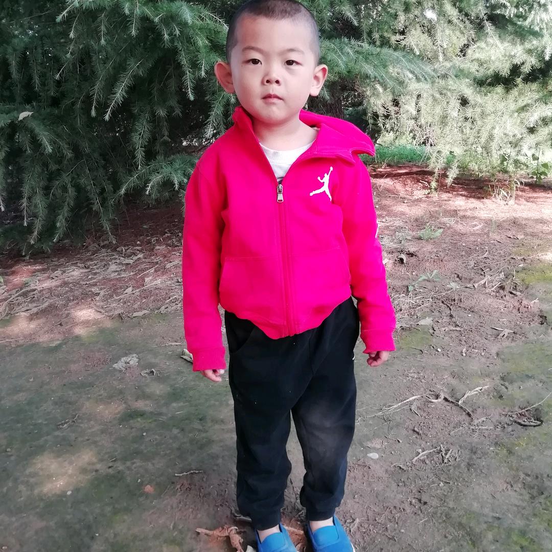 雄鹰