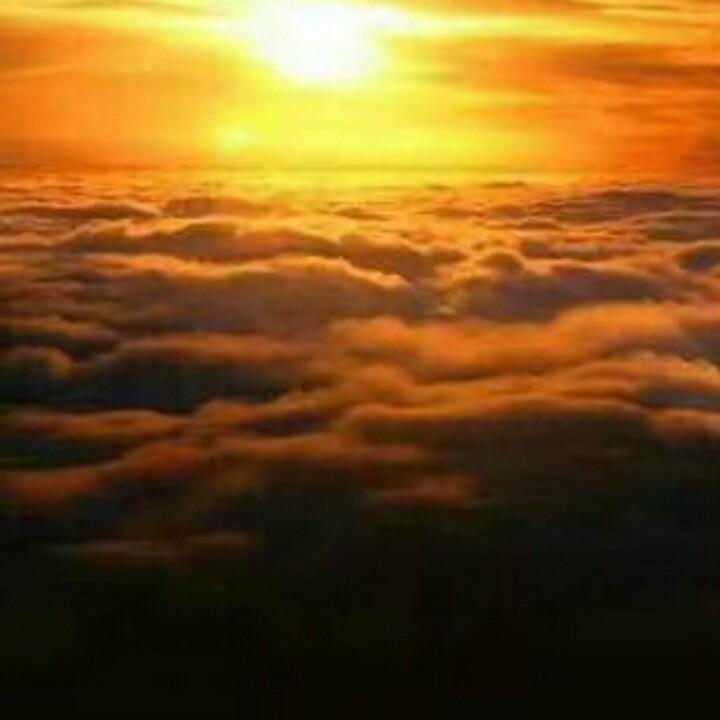 轩岗亨得利眼镜