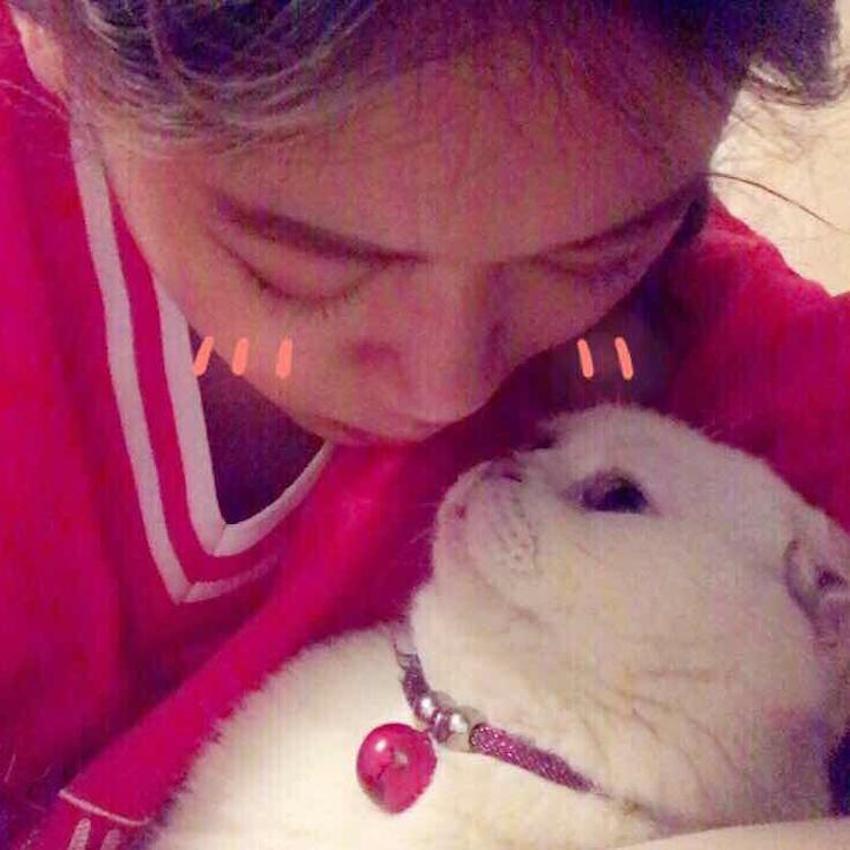 ❤️会说话的刘二豆❤️@抖音