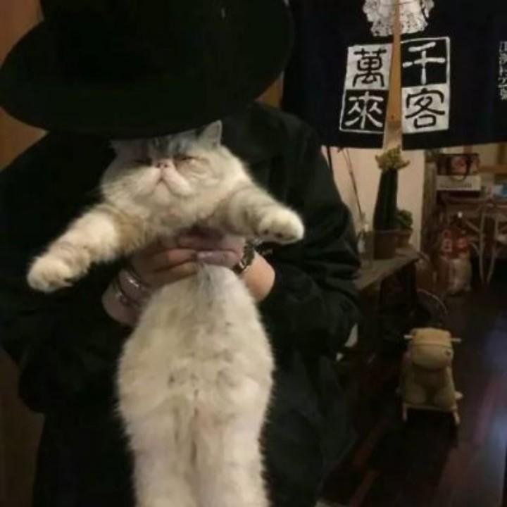 鸭龙卡马