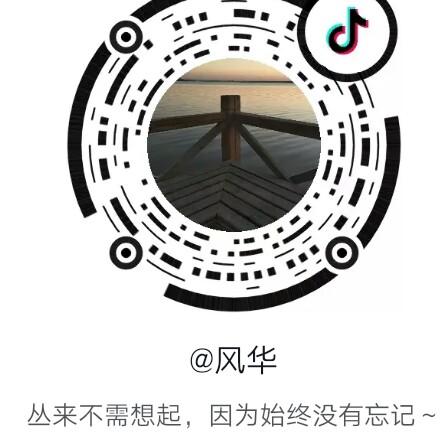 丰收的麦子