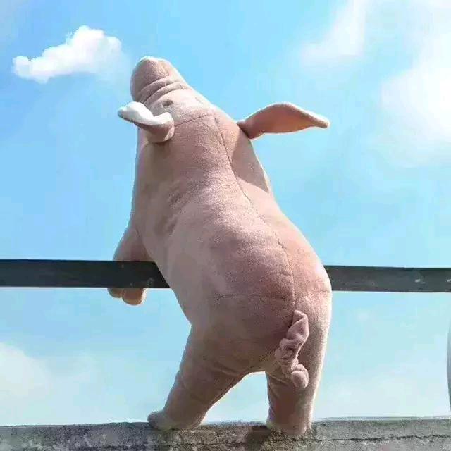 六六🦄