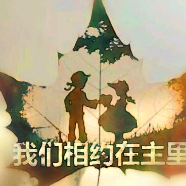 帅杨杨