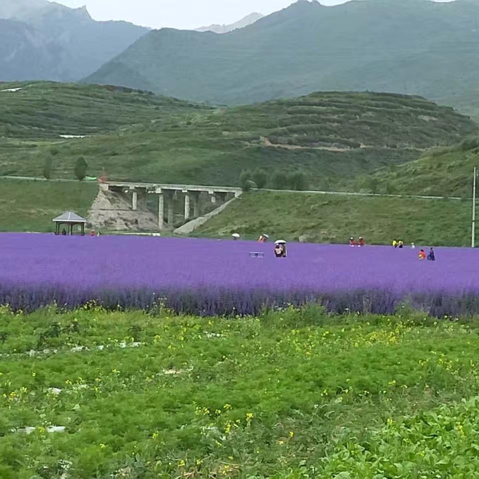时光颂华为