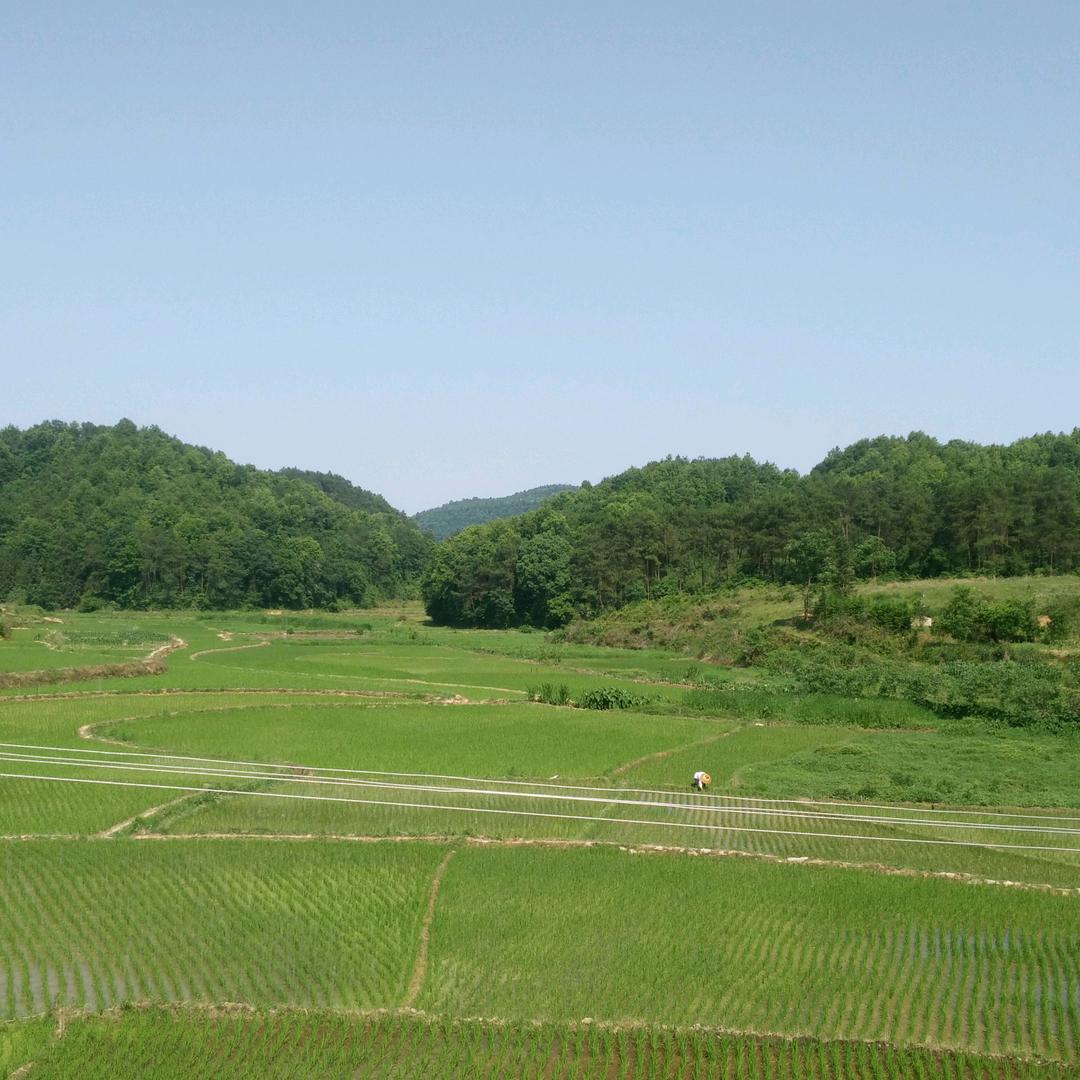 岚风