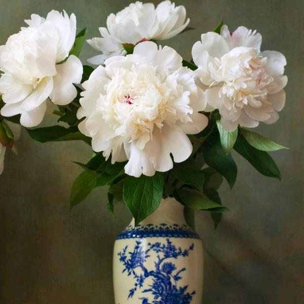 🌈浩然正气✔️