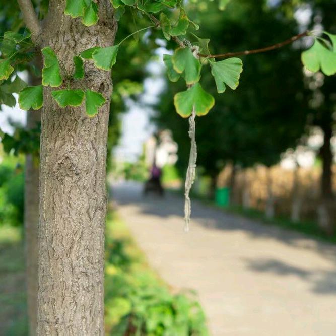 豆妈（橱窗有好物）