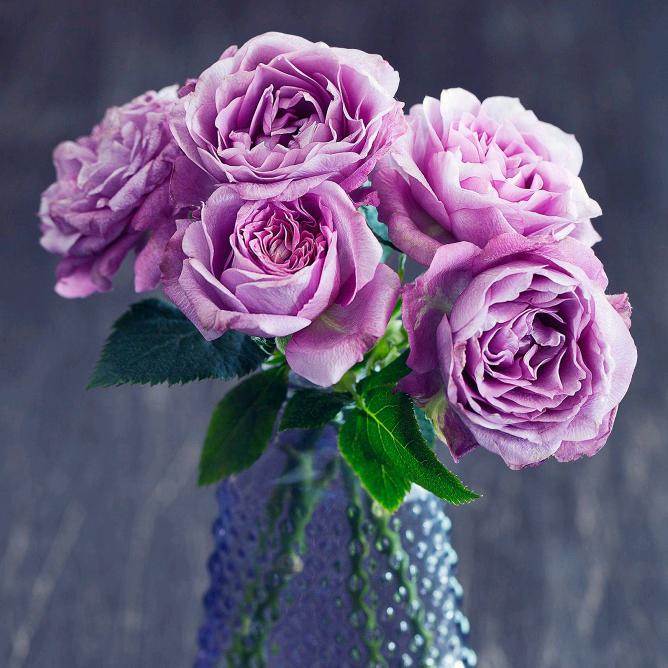 张琪普拉提-冯玲芳