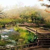 富婆婆