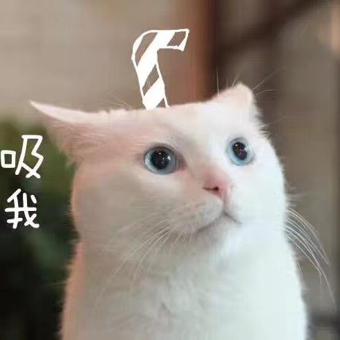 我在房顶做多肉架子