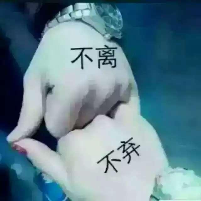 SAM学会放弃