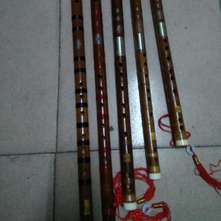 毕节,杨红哥