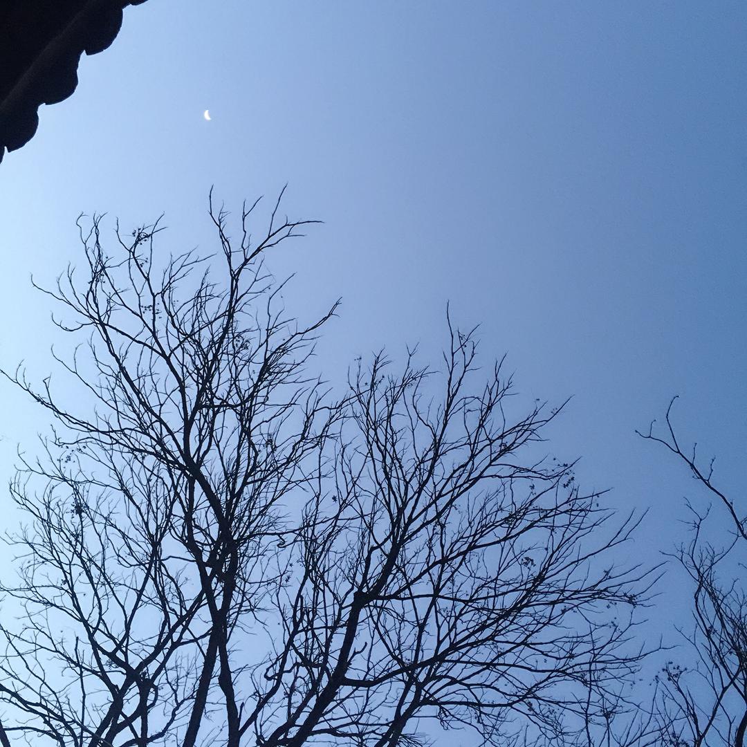 草木阶升