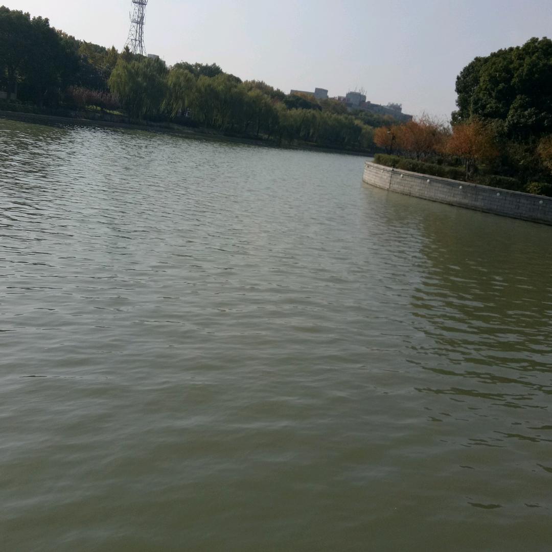 进修