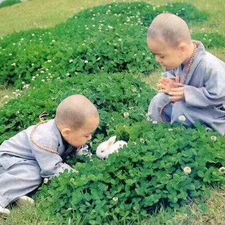 不重复的老小孩