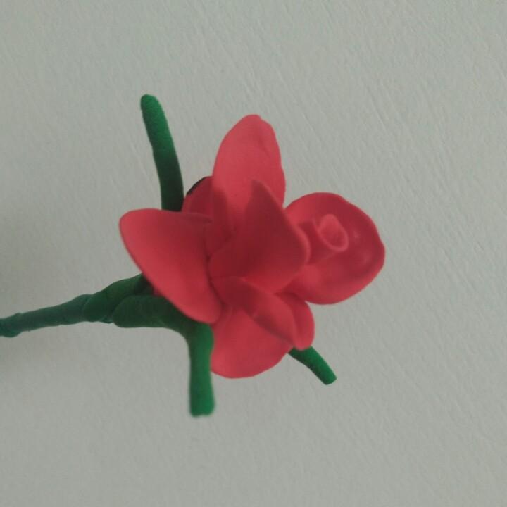 @会飞的鱼